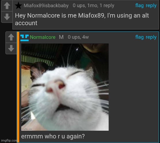 Old shit I found while searching my old acc, who is miafox again | made w/ Imgflip meme maker