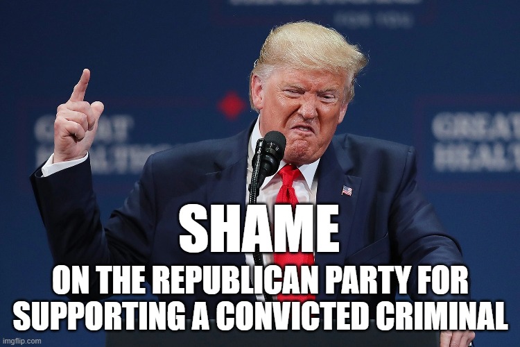 SHAME; ON THE REPUBLICAN PARTY FOR SUPPORTING A CONVICTED CRIMINAL | image tagged in trump,gop,shame | made w/ Imgflip meme maker
