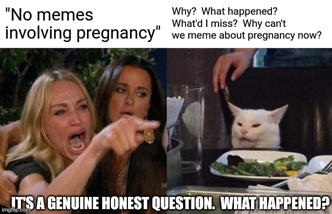 What Happened That Made Such An Important Part Of A Mothers Life Un~Memeable?  U Don't Have 2 Feature But Could You Answer Plez | "No memes involving pregnancy"; Why?  What happened?  What'd I miss?  Why can't we meme about pregnancy now? IT'S A GENUINE HONEST QUESTION.  WHAT HAPPENED? | image tagged in memes,woman yelling at cat,imgflip mods,meanwhile on imgflip,sincere question,stream rules | made w/ Imgflip meme maker