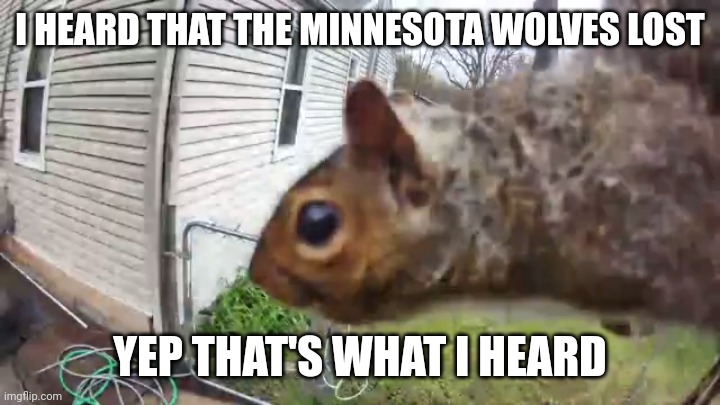 Nosy squirrely | I HEARD THAT THE MINNESOTA WOLVES LOST; YEP THAT'S WHAT I HEARD | image tagged in squirrely | made w/ Imgflip meme maker