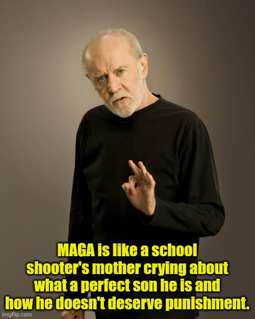 MAGA is... | MAGA is like a school shooter's mother crying about what a perfect son he is and how he doesn't deserve punishment. | image tagged in george carlin | made w/ Imgflip meme maker