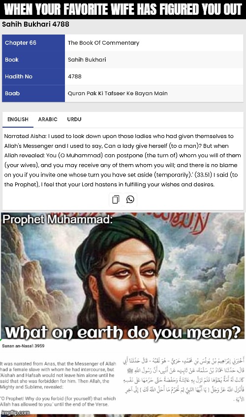 WHEN YOUR FAVORITE WIFE HAS FIGURED YOU OUT | image tagged in islam,sarcasm | made w/ Imgflip meme maker