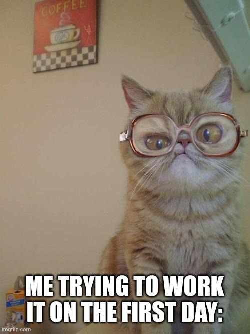 confused cat | ME TRYING TO WORK IT ON THE FIRST DAY: | image tagged in confused cat | made w/ Imgflip meme maker