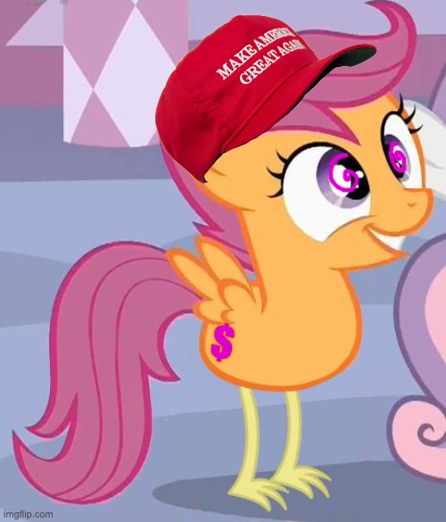 MLP scootaloo | $ | image tagged in mlp scootaloo | made w/ Imgflip meme maker