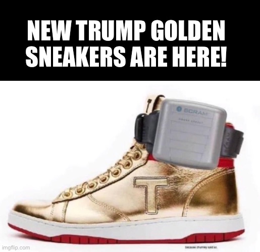 NEW TRUMP GOLDEN SNEAKERS ARE HERE! | NEW TRUMP GOLDEN SNEAKERS ARE HERE! | image tagged in trump sneaker,felon,con man,liar,donald trump,guilty | made w/ Imgflip meme maker