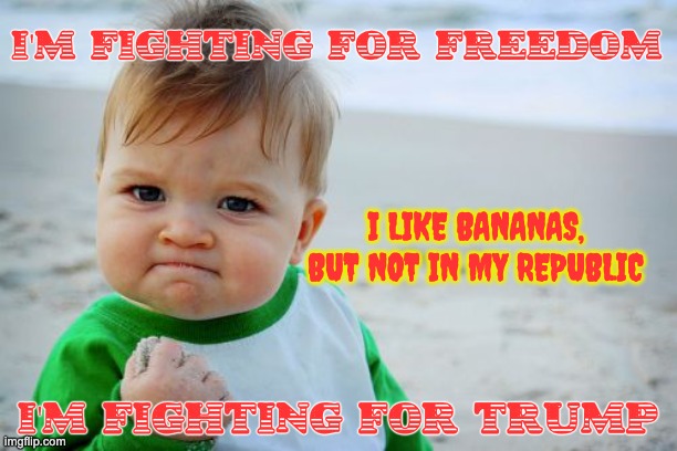 Communism Comes After Socialism Everywhere But In The Dictionary | I'M FIGHTING FOR FREEDOM; I LIKE BANANAS, BUT NOT IN MY REPUBLIC; I'M FIGHTING FOR TRUMP | image tagged in memes,success kid original | made w/ Imgflip meme maker