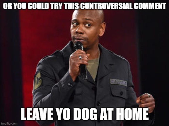 OR YOU COULD TRY THIS CONTROVERSIAL COMMENT LEAVE YO DOG AT HOME | image tagged in dave chappelle | made w/ Imgflip meme maker