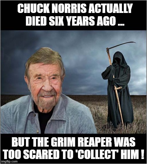What A Guy ! | CHUCK NORRIS ACTUALLY 
DIED SIX YEARS AGO ... BUT THE GRIM REAPER WAS TOO SCARED TO 'COLLECT' HIM ! | image tagged in chuck norris,grim reaper,scared,dark humour | made w/ Imgflip meme maker