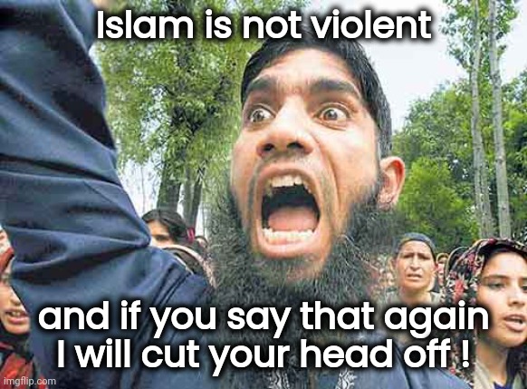 We must understand their ways | Islam is not violent; and if you say that again
I will cut your head off ! | image tagged in angry jihadi,understanding,tolerance,two way street,violence is never the answer,well yes but actually no | made w/ Imgflip meme maker