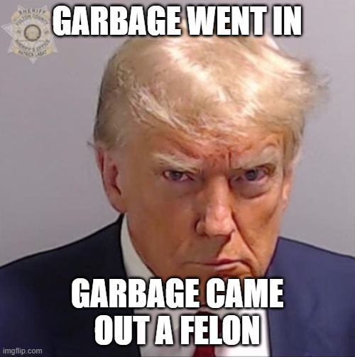 Trump Convicted | GARBAGE WENT IN GARBAGE CAME
OUT A FELON | image tagged in trump convicted | made w/ Imgflip meme maker