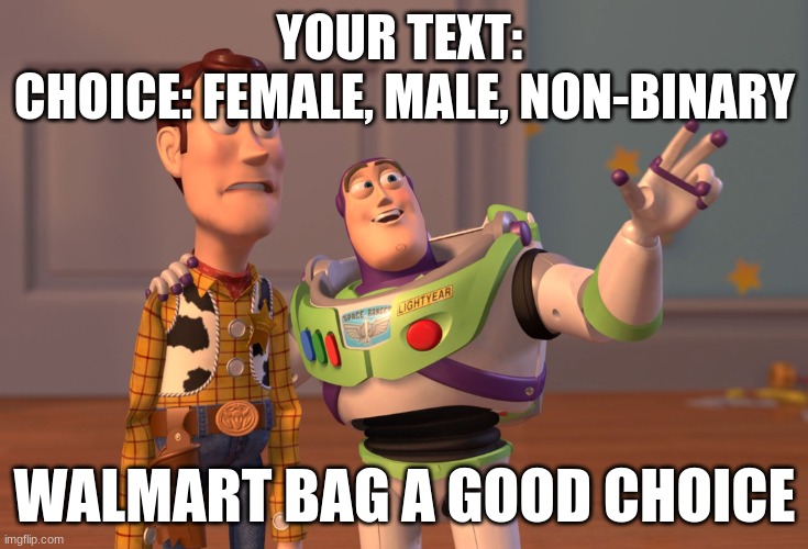 your text | YOUR TEXT: 
CHOICE: FEMALE, MALE, NON-BINARY; WALMART BAG A GOOD CHOICE | image tagged in memes,x x everywhere | made w/ Imgflip meme maker