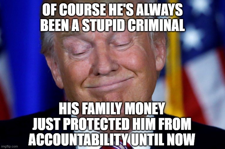 Don the Con | OF COURSE HE'S ALWAYS BEEN A STUPID CRIMINAL HIS FAMILY MONEY JUST PROTECTED HIM FROM ACCOUNTABILITY UNTIL NOW | image tagged in don the con | made w/ Imgflip meme maker