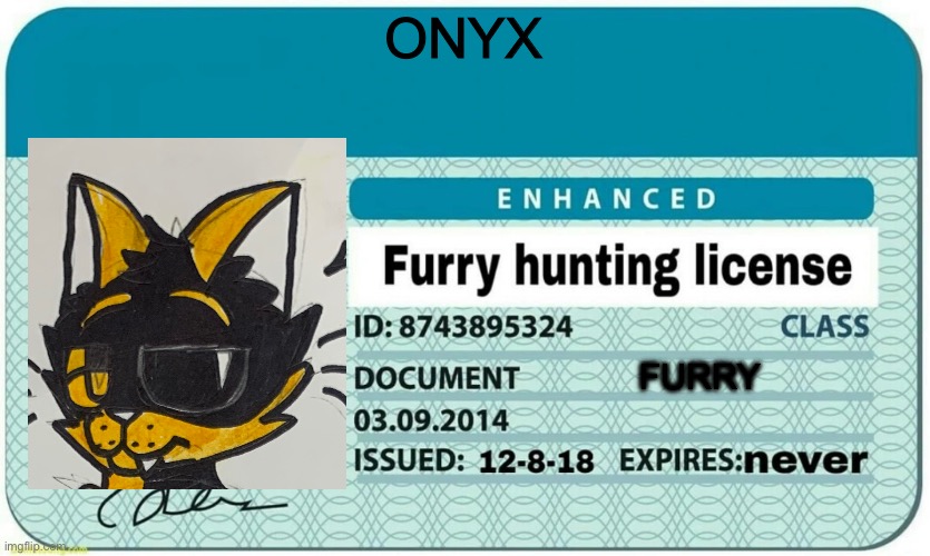 furry hunting license | ONYX; FURRY | image tagged in furry hunting license | made w/ Imgflip meme maker