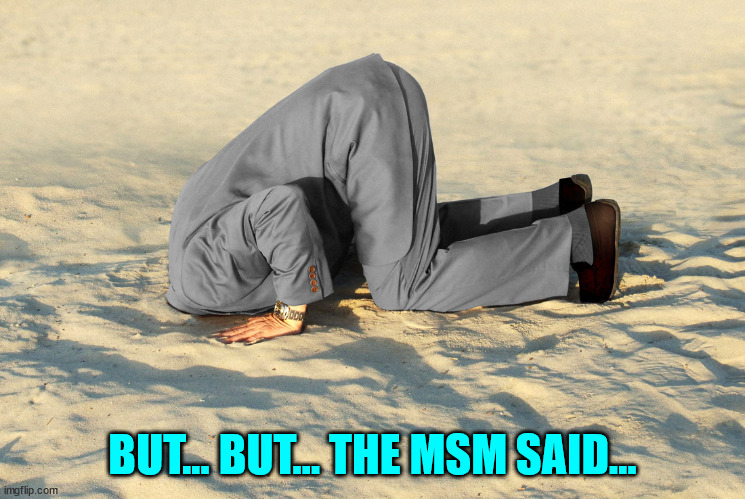 head in sand | BUT... BUT... THE MSM SAID... | image tagged in head in sand | made w/ Imgflip meme maker