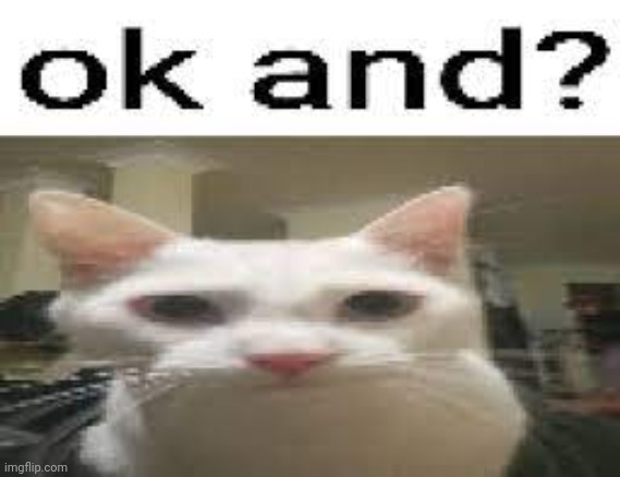 ok and | image tagged in ok and | made w/ Imgflip meme maker
