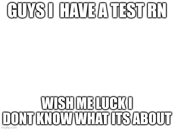 wish me luck pls | GUYS I  HAVE A TEST RN; WISH ME LUCK I DONT KNOW WHAT ITS ABOUT | image tagged in oh god i'm cooked,black flash,test,this tag is not important | made w/ Imgflip meme maker