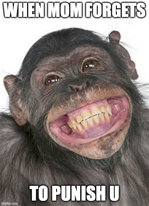 Smile Monkey | WHEN MOM FORGETS; TO PUNISH U | image tagged in smile monkey | made w/ Imgflip meme maker