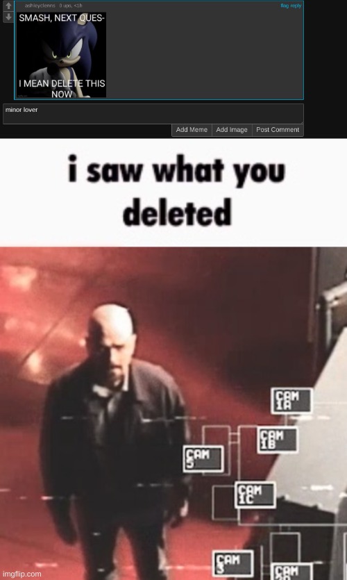 @ashleyclenns | image tagged in i saw what you deleted | made w/ Imgflip meme maker