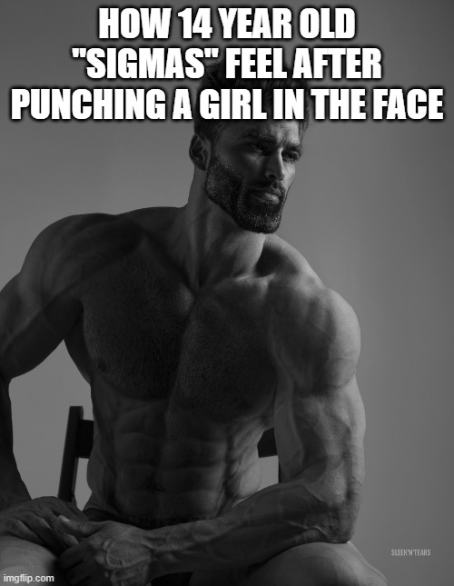 Literally every other boy at my school. It's FURY INSPIRING!!! | HOW 14 YEAR OLD "SIGMAS" FEEL AFTER PUNCHING A GIRL IN THE FACE | image tagged in giga chad,lame | made w/ Imgflip meme maker