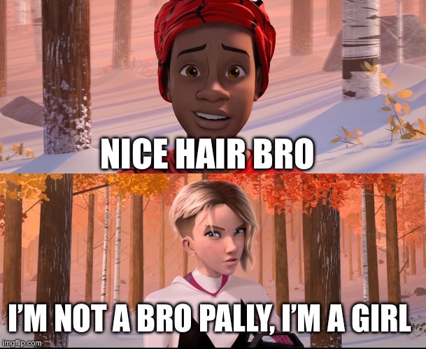 Holy Macaroni!!! | NICE HAIR BRO; I’M NOT A BRO PALLY, I’M A GIRL | image tagged in miles gwen,spiderman | made w/ Imgflip meme maker