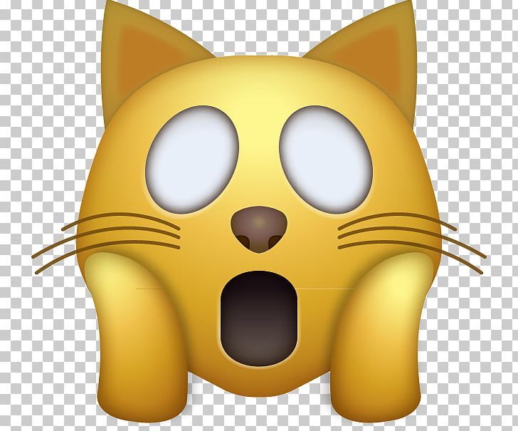 funny cat Blank Meme Template