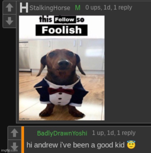 made w/ Imgflip meme maker