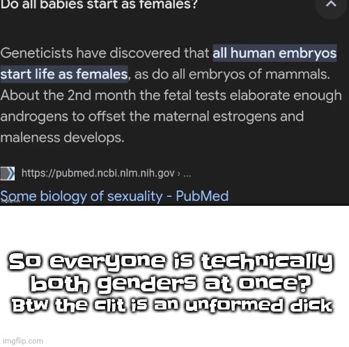 Odd. So everyone is technically a hermaphrodite and genderless all at once | So everyone is technically both genders at once? Btw the clit is an unformed dick | image tagged in blank white template | made w/ Imgflip meme maker