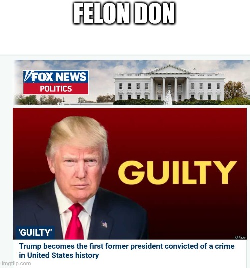 felon don | FELON DON | image tagged in felondon,felon | made w/ Imgflip meme maker