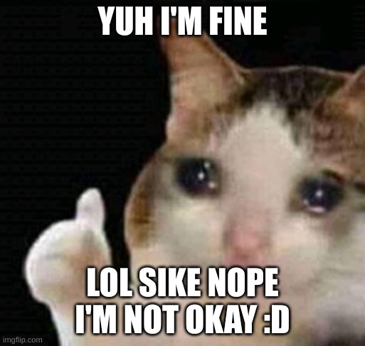 Me irl: | YUH I'M FINE; LOL SIKE NOPE I'M NOT OKAY :D | image tagged in sad thumbs up cat | made w/ Imgflip meme maker