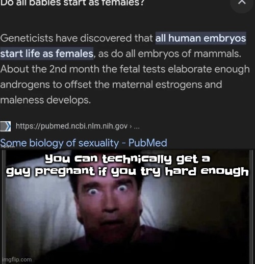 Season 1 episode 10 | You can technically get a guy pregnant if you try hard enough | made w/ Imgflip meme maker