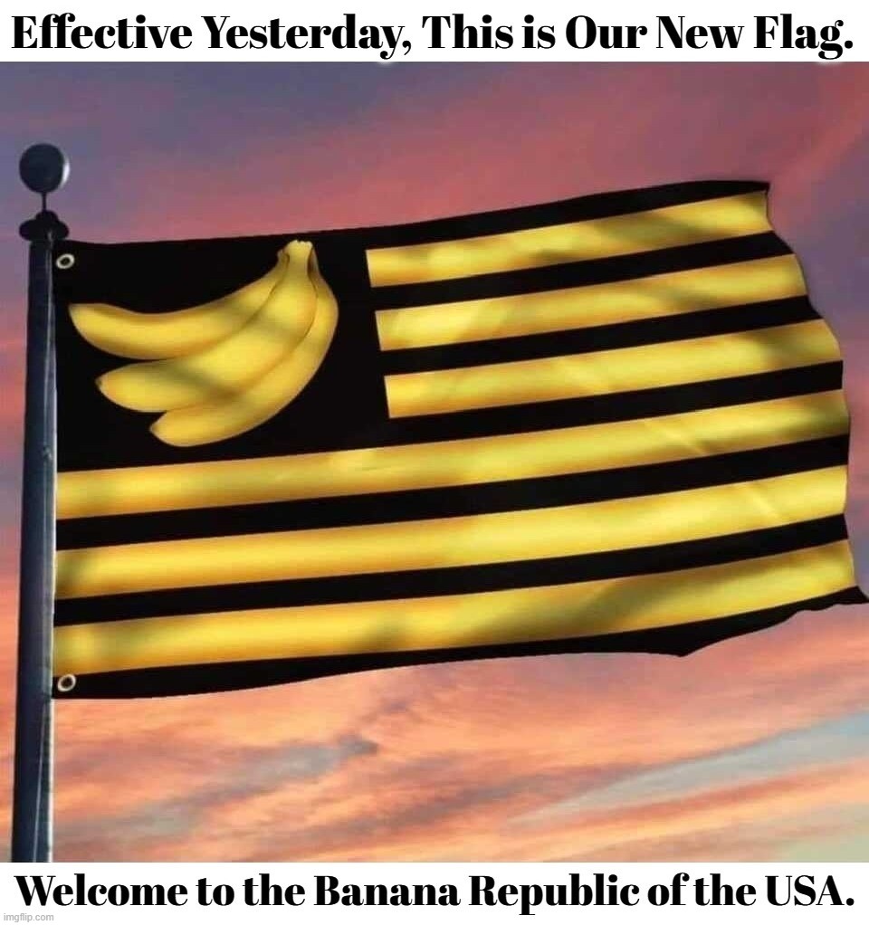 Welcome to the Banana Republic of the USA | image tagged in banana republic,usa,mob rule,government corruption,unconstitutional,sedition | made w/ Imgflip meme maker