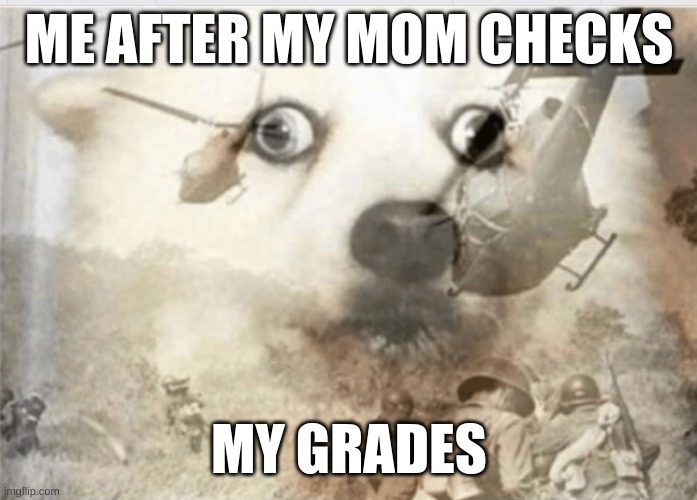 Uh oh | ME AFTER MY MOM CHECKS; MY GRADES | image tagged in ptsd dog,true | made w/ Imgflip meme maker