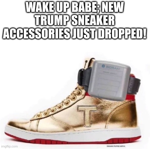 These are the HOTTEST!  So hot, they fell off the back of a truck! | WAKE UP BABE; NEW TRUMP SNEAKER ACCESSORIES JUST DROPPED! | image tagged in trump guilty,trump sneakers,donald chump | made w/ Imgflip meme maker