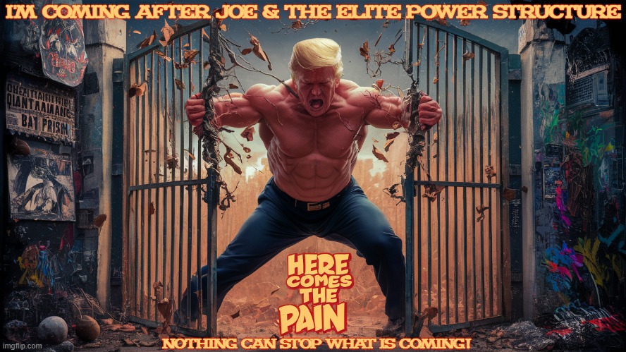 here comes the pain you whiney whiners | I'M COMING AFTER JOE & THE ELITE POWER STRUCTURE; NOTHING CAN STOP WHAT IS COMING! | image tagged in here comes the pain you whiney whiners | made w/ Imgflip meme maker