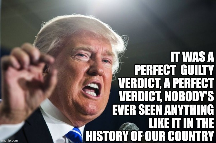 Perfect verdict | IT WAS A PERFECT  GUILTY VERDICT, A PERFECT VERDICT, NOBODY'S EVER SEEN ANYTHING LIKE IT IN THE HISTORY OF OUR COUNTRY | image tagged in donald trump | made w/ Imgflip meme maker