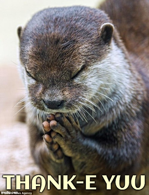 THANK-E YUU | image tagged in thank you lord otter | made w/ Imgflip meme maker