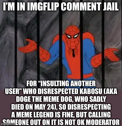 Just 7 more hours on my sentence | I’M IN IMGFLIP COMMENT JAIL; FOR “INSULTING ANOTHER USER” WHO DISRESPECTED KABOSU (AKA DOGE THE MEME DOG, WHO SADLY DIED ON MAY 24), SO DISRESPECTING A MEME LEGEND IS FINE, BUT CALLING SOMEONE OUT ON IT IS NOT OK MODERATOR | image tagged in spiderman jail | made w/ Imgflip meme maker