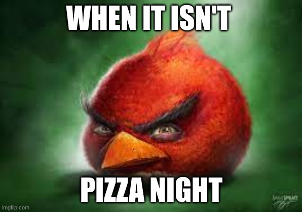 pizza | WHEN IT ISN'T; PIZZA NIGHT | image tagged in realistic red angry birds,pizza | made w/ Imgflip meme maker