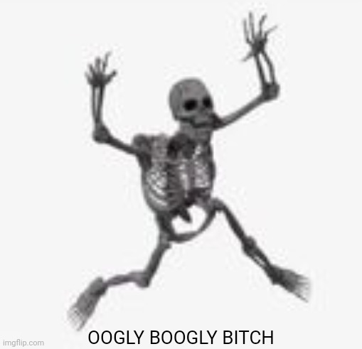 skeleton jumpscare | OOGLY BOOGLY BITCH | image tagged in skeleton jumpscare | made w/ Imgflip meme maker