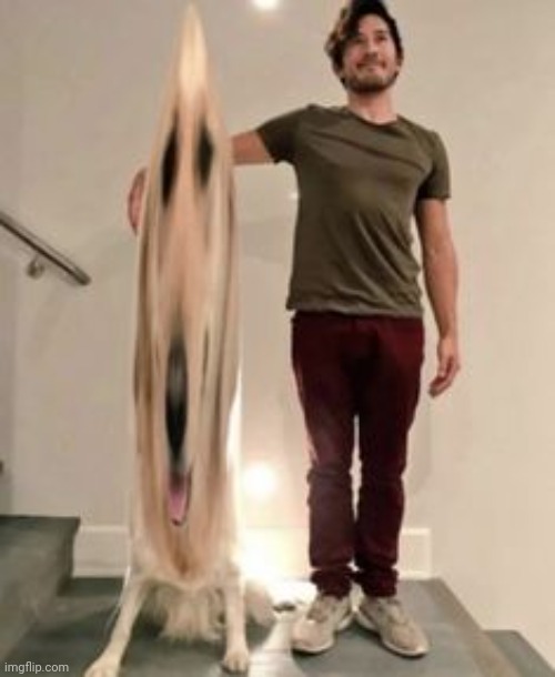 what happened to chica?.. | made w/ Imgflip meme maker