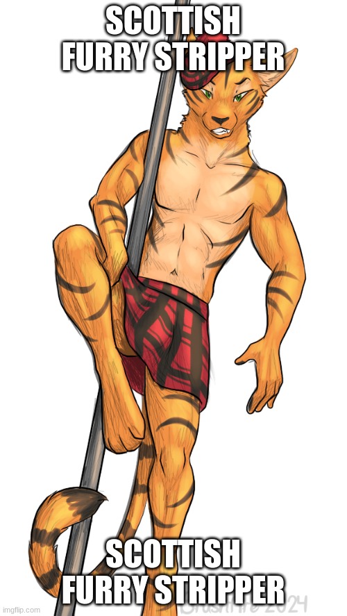 SCOTTISH FURRY STRIPPER SCOTTISH FURRY STRIPPER | made w/ Imgflip meme maker
