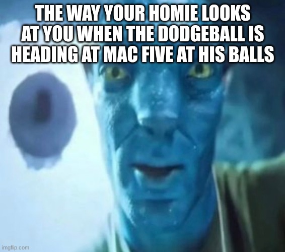 Avatar guy | THE WAY YOUR HOMIE LOOKS AT YOU WHEN THE DODGEBALL IS HEADING AT MAC FIVE AT HIS BALLS | image tagged in avatar guy | made w/ Imgflip meme maker