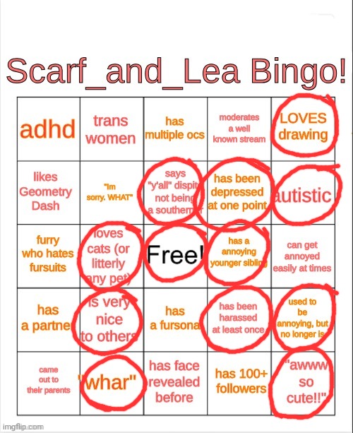 no bingo | image tagged in scarf_and_lea bingo | made w/ Imgflip meme maker