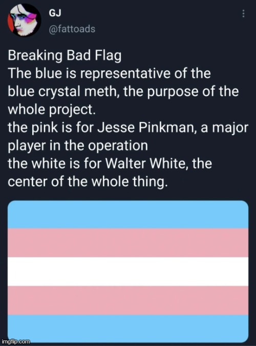 truth behind the trans flag | image tagged in truth behind the trans flag | made w/ Imgflip meme maker