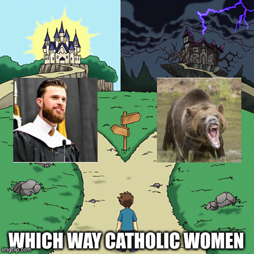 of course you pick the bear | WHICH WAY CATHOLIC WOMEN | image tagged in two castles | made w/ Imgflip meme maker
