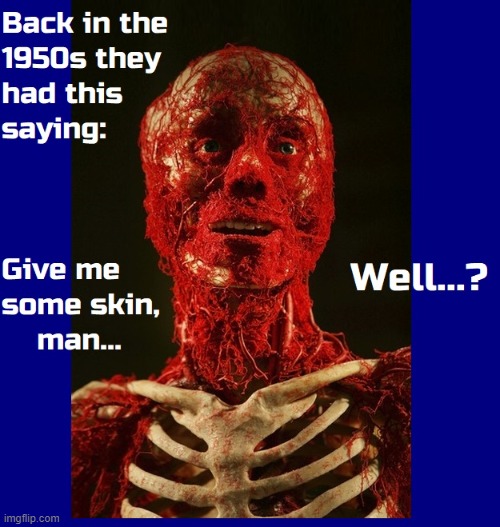 The Skeleton from Peloton® | image tagged in vince vance,blood vessels,skeleton,rib cage,memes,skin | made w/ Imgflip meme maker