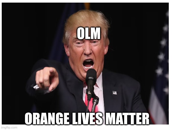 OLM | OLM; ORANGE LIVES MATTER | made w/ Imgflip meme maker