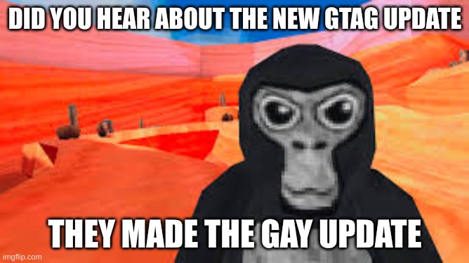 gorilla tag | DID YOU HEAR ABOUT THE NEW GTAG UPDATE; THEY MADE THE GAY UPDATE | image tagged in gorilla tag | made w/ Imgflip meme maker