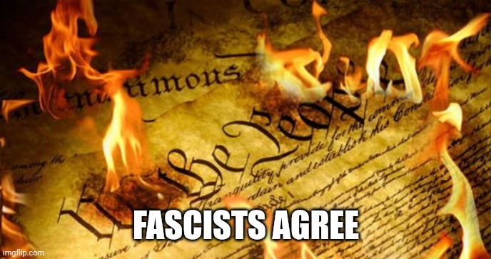 Constitution In Flames | FASCISTS AGREE | image tagged in constitution in flames | made w/ Imgflip meme maker