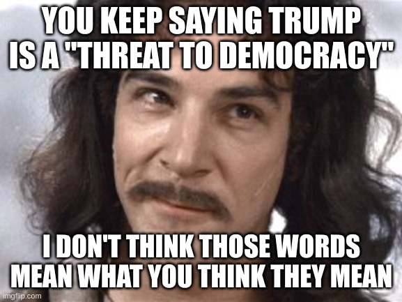 threat to democracy | YOU KEEP SAYING TRUMP IS A "THREAT TO DEMOCRACY"; I DON'T THINK THOSE WORDS MEAN WHAT YOU THINK THEY MEAN | image tagged in i do not think that means what you think it means | made w/ Imgflip meme maker